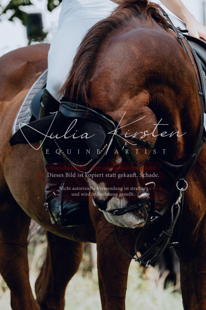 DSC_0665 | Pferde- und Turnierfotografie in Westsachsen. Pferdeportraits, Auftragszeichnungen und intuitive Kunst.