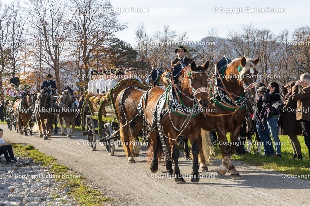 LBT24-1172 | foto-bettina-krinner - Realisiert mit Pictrs.com