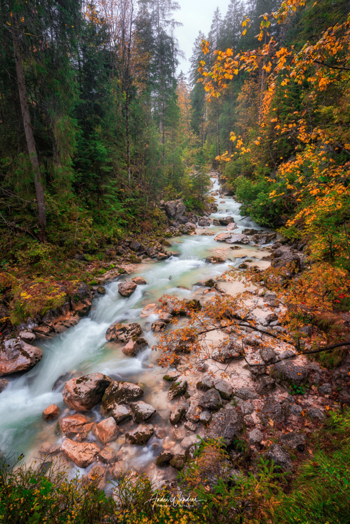 Herbstliche Flusslandschaft | Andre Wandrei - Nature Artworx - Realisiert mit Pictrs.com