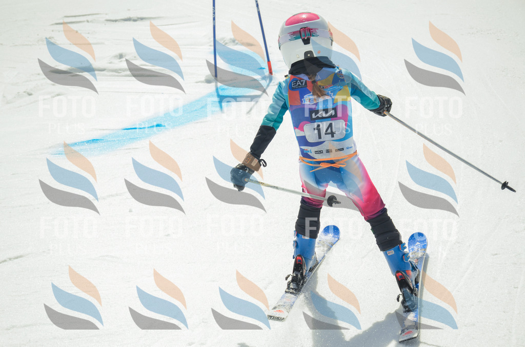 _ELE4640 | holidayphoto