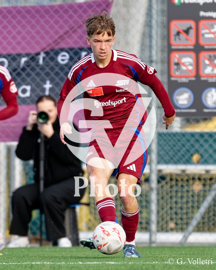 011_DZ9_6821 | Velletri Photo