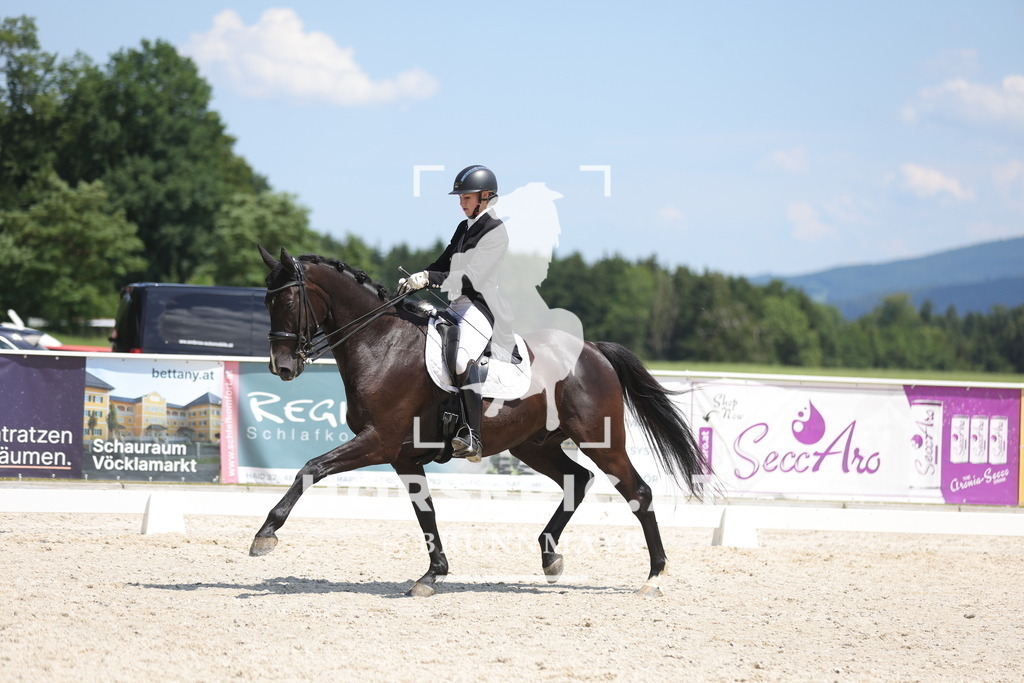 0P6A6487 | Willkommen bei Brunnmayr - Design & Fotografie – Ihrem Spezialisten für Reitturniere und Pferdeveranstaltungen in Oberösterreich, Salzburg und Bayern! Seit über 17 Jahren sind wir leidenschaftlich dabei.