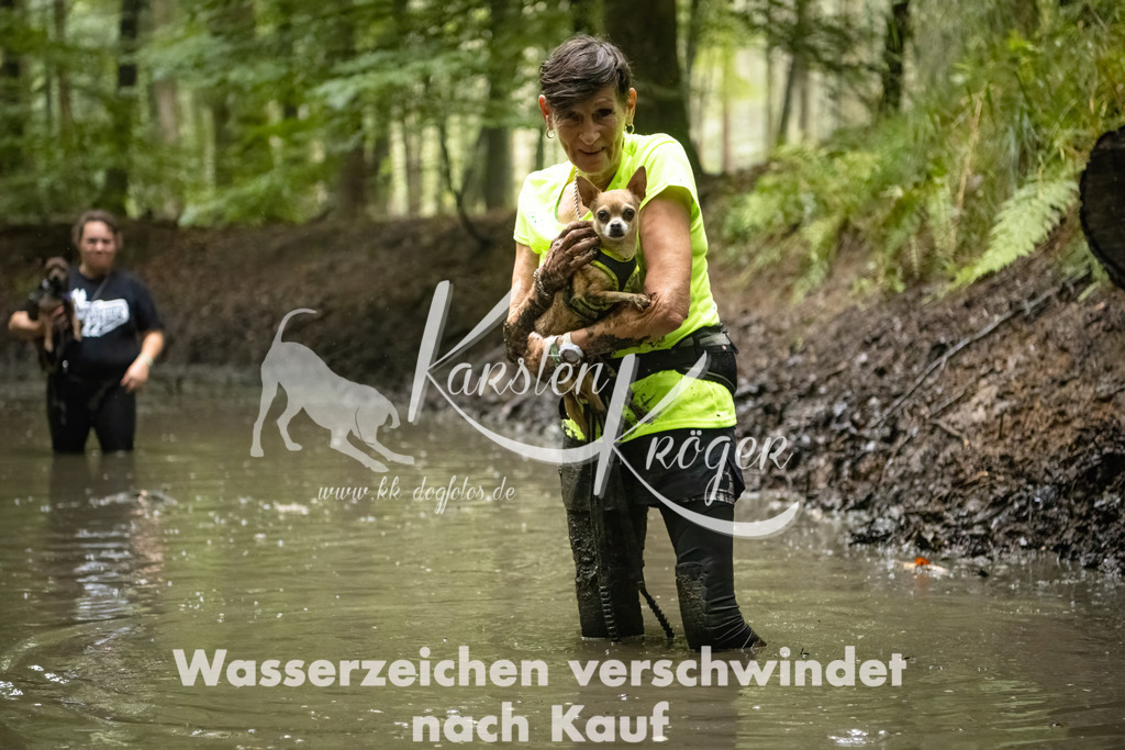 1248_ZZ91474-Bearbeitet | kk-dogfotos