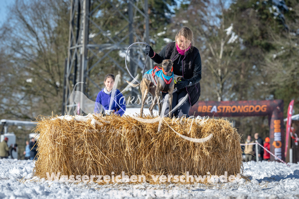 1205_ZZ91939-4 | kk-dogfotos