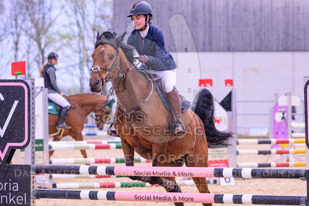 10042026-Mammendorf-Prfg13-0080 | Fokus Hufschlag Fotografie - Realisiert mit Pictrs.com