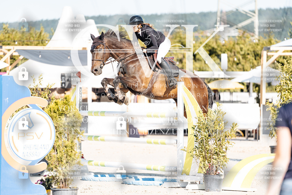 CK904719 | Turnierfotografie Pferdefotografie Trier Rheinland-Pfalz Pferdesport Reitsport Tierfotografie Sportfotografie Pferdevideo Pferdevideografie Equestrianvideography equestrianphotography  - Realisiert mit Pictrs.com
