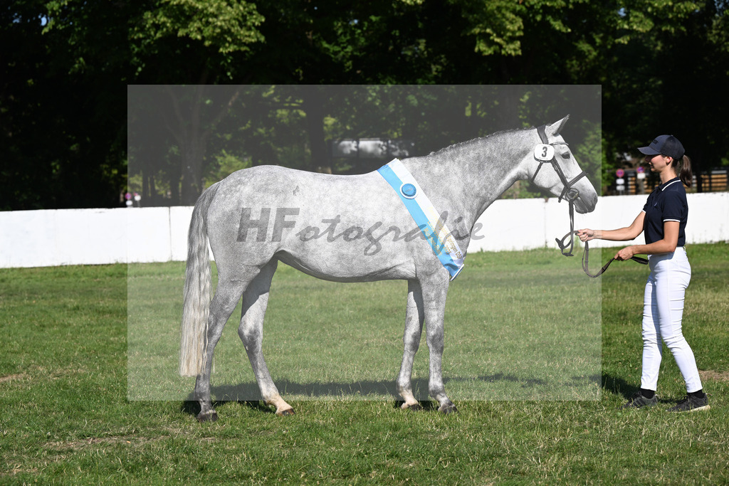 Kat-Nr. 3 Perla 80 v. Lethago Z_Merk_19251562 | hf-fotografie - Realizzato con Pictrs.com
