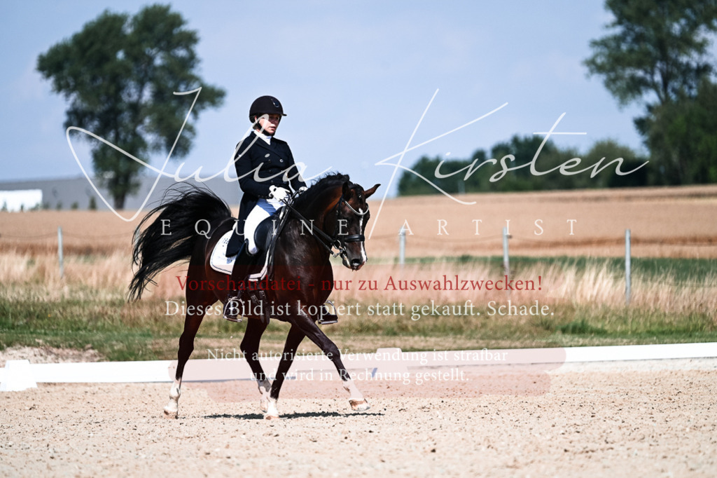 DSC_2928 | Pferde- und Turnierfotografie in Westsachsen. Pferdeportraits, Auftragszeichnungen und intuitive Kunst.