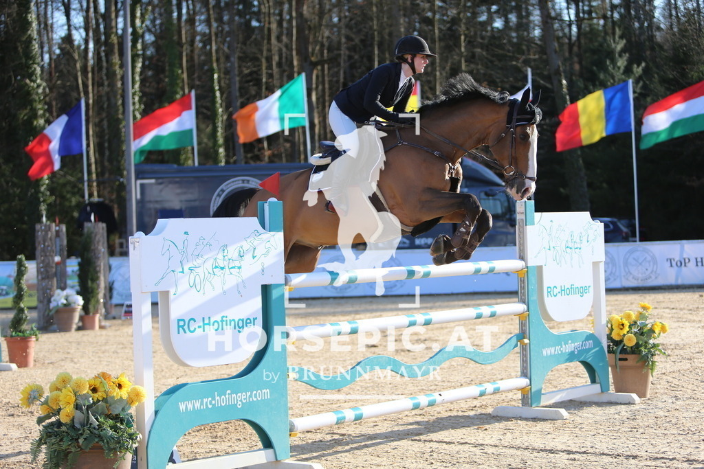 DL2Q1375 | Willkommen bei Brunnmayr - Design & Fotografie – Ihrem Spezialisten für Reitturniere und Pferdeveranstaltungen in Oberösterreich, Salzburg und Bayern! Seit über 17 Jahren sind wir leidenschaftlich dabei.