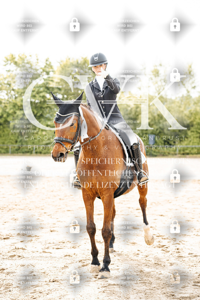 CK703608 | Turnierfotografie Pferdefotografie Trier Rheinland-Pfalz Pferdesport Reitsport Tierfotografie Sportfotografie Pferdevideo Pferdevideografie Equestrianvideography equestrianphotography  - Realisiert mit Pictrs.com