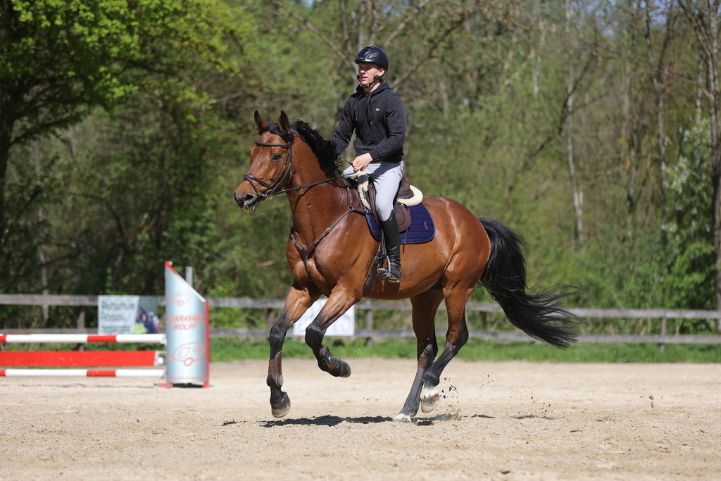 0P6A8152 | Willkommen bei Brunnmayr - Design & Fotografie – Ihrem Spezialisten für Reitturniere und Pferdeveranstaltungen in Oberösterreich, Salzburg und Bayern! Seit über 17 Jahren sind wir leidenschaftlich dabei.