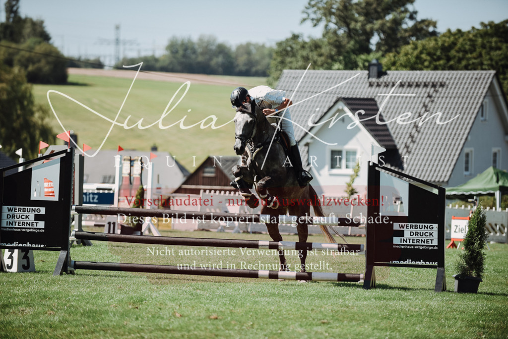 DSC_3185 | Pferde- und Turnierfotografie in Westsachsen. Pferdeportraits, Auftragszeichnungen und intuitive Kunst.