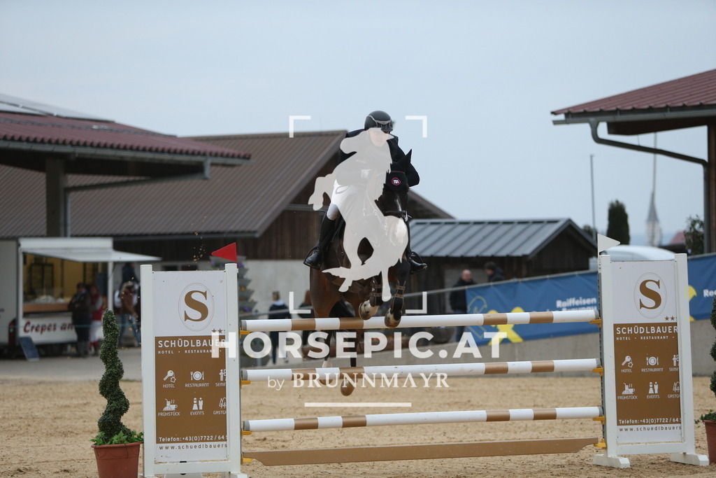 DL2Q3814 | Willkommen bei Brunnmayr - Design & Fotografie – Ihrem Spezialisten für Reitturniere und Pferdeveranstaltungen in Oberösterreich, Salzburg und Bayern! Seit über 17 Jahren sind wir leidenschaftlich dabei.