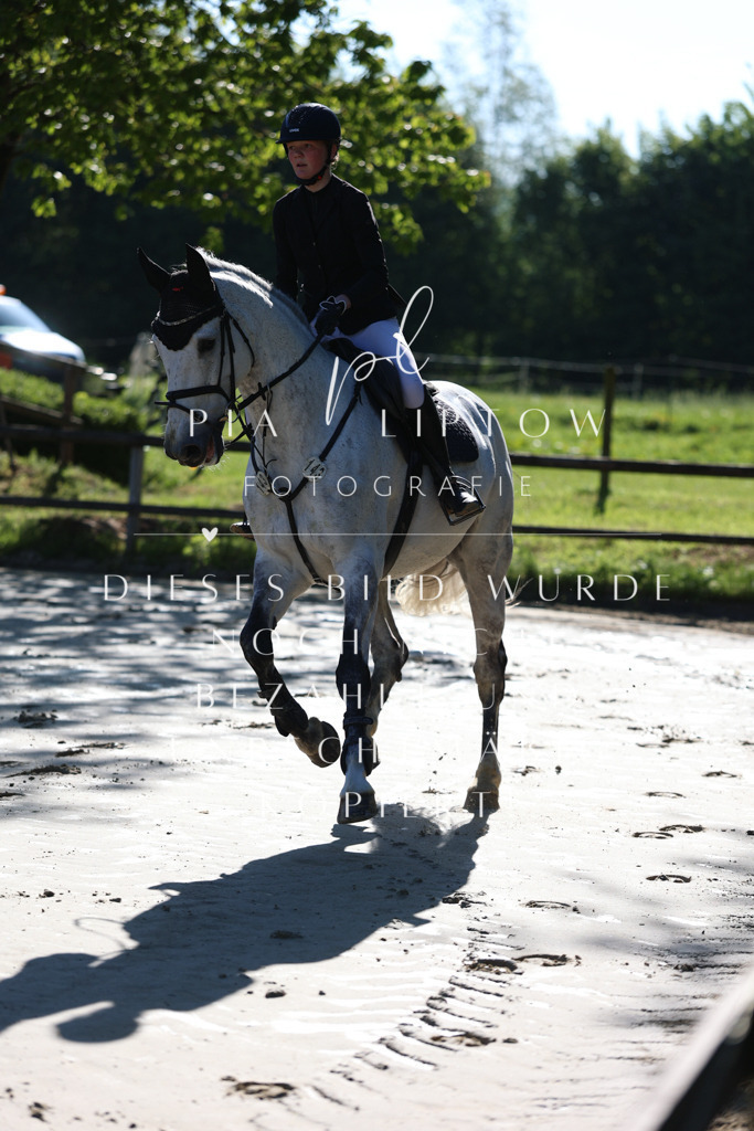 IMGS5981 | pl-fotografie