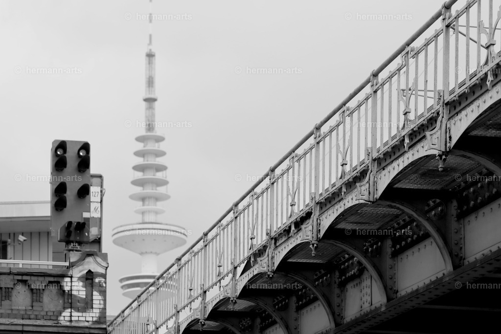 Hamurg_Arts-016 | Photo Foto Kunst Art schwarzweiss Bilder Rheine Münster Berlin Blumen 