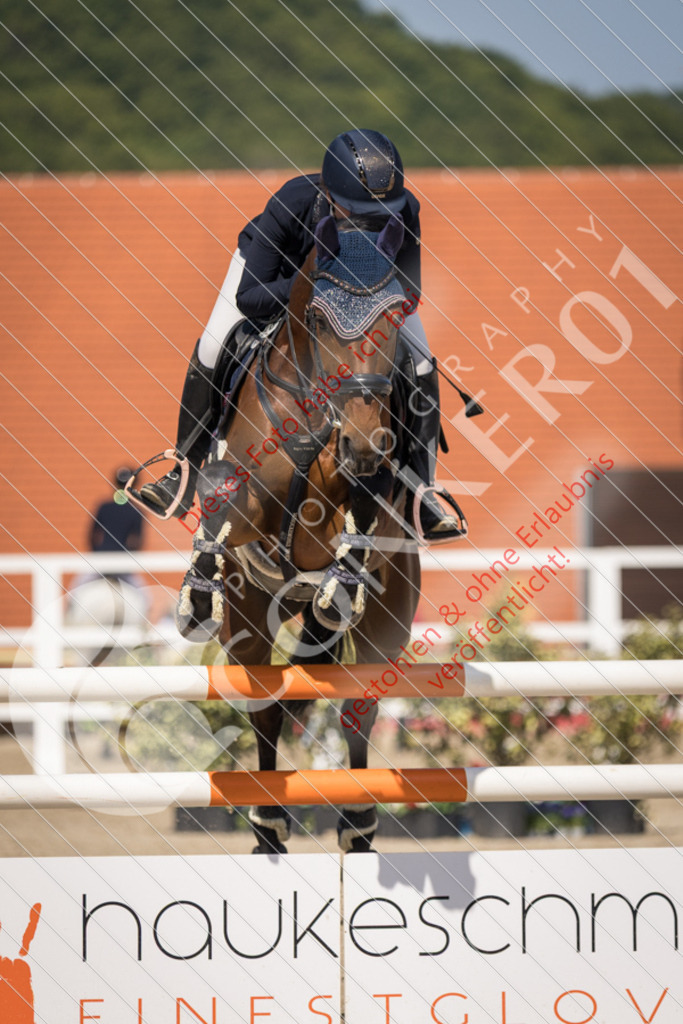 IMG_4216 | Sport-, Event- und Tierfotos in Profiqualität. Einfach auswählen, bestellen und herunterladen. Dein Moment – perfekt festgehalten.