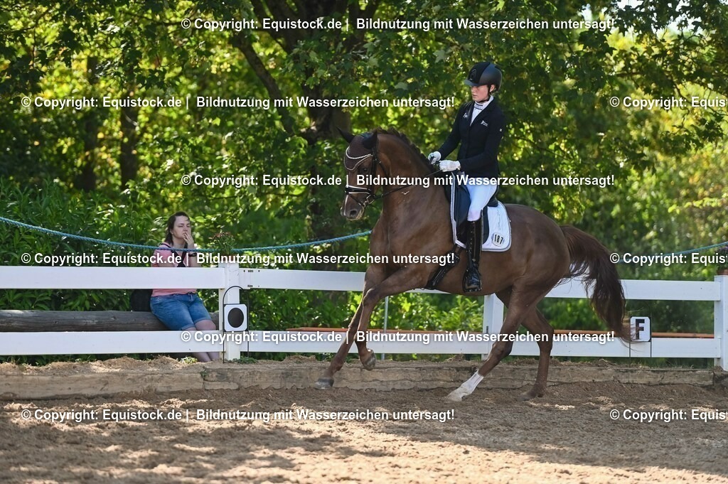 20230715_06_Dressurpferdeprfg. Kl.A_0434 | equistock
