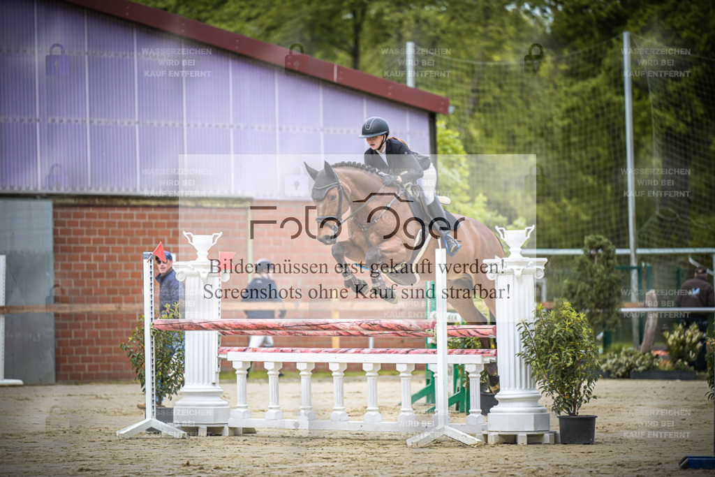 DOS_5593 | Entdecke hochwertige Reitturnierfotos von Foto Oger. Professionell, emotional und authentisch – jetzt Lieblingsmomente im Shop bestellen.Deutschlandweite Turnierfotografie. - Realisiert mit Pictrs.com