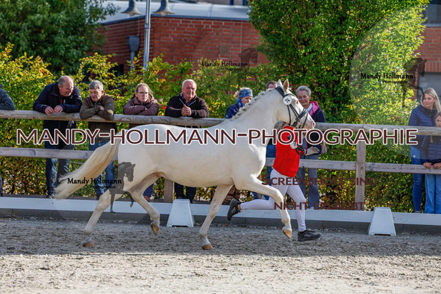 DR (1235 von 1791) | mandyhollmannphotographie