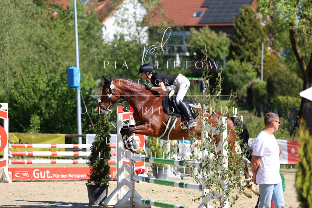 IMGS6799 | pl-fotografie