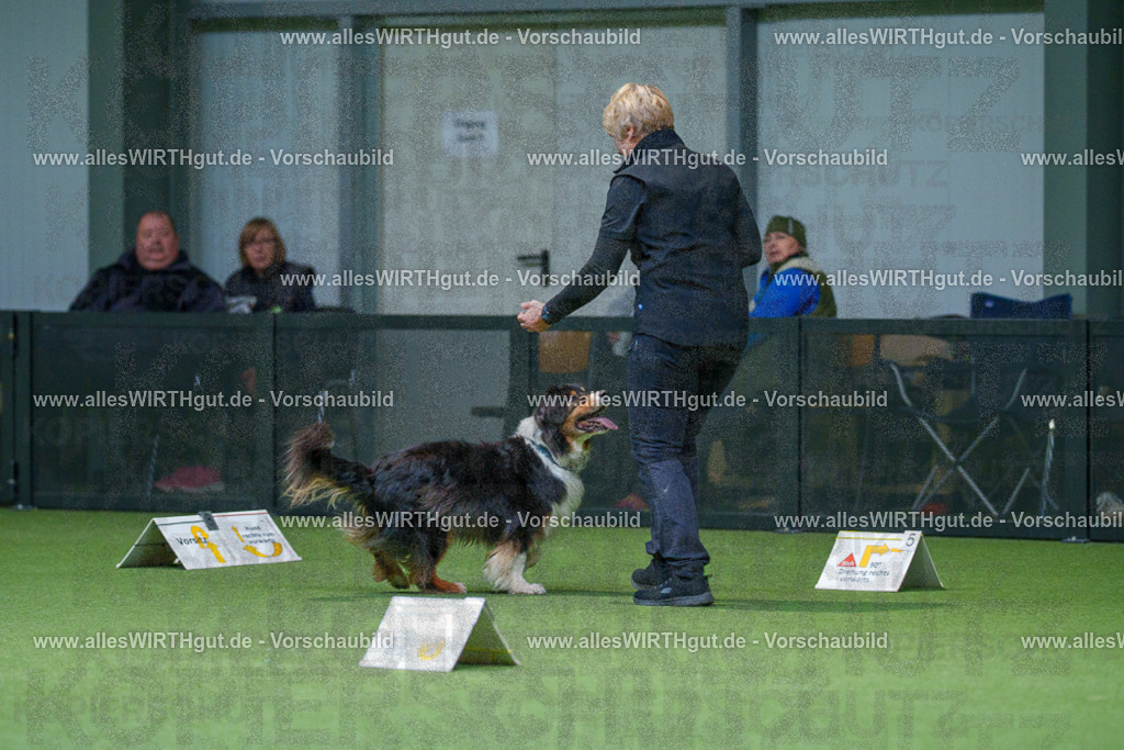 7R506092 | Professionelle Tierfotografie in Mönchengladbach von Daniel Wirth (allesWIRTHgut). Liebevolle & natürliche Bilder von Hunden & Katzen für unvergessliche Erinnerungen.