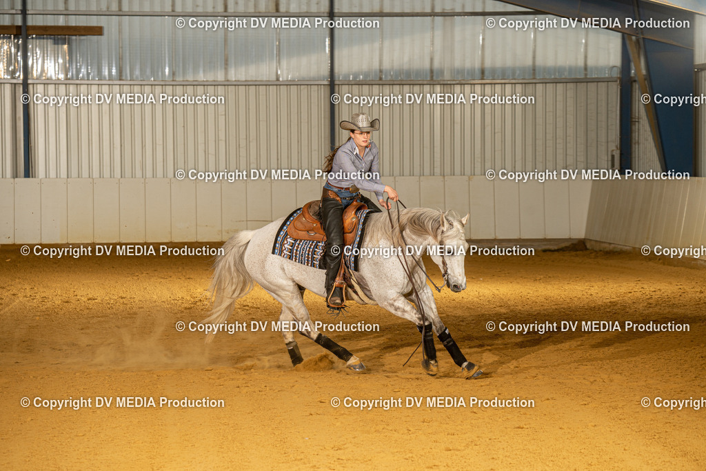 MIT00563 | dv-media-shop - Realisiert mit Pictrs.com