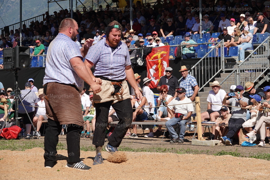 DSC01720 | Schwingen - Realisiert mit Pictrs.com
