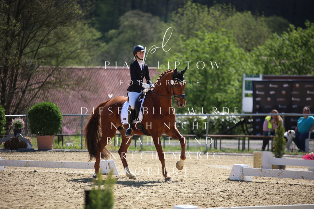 IMGT7329 | pl-fotografie