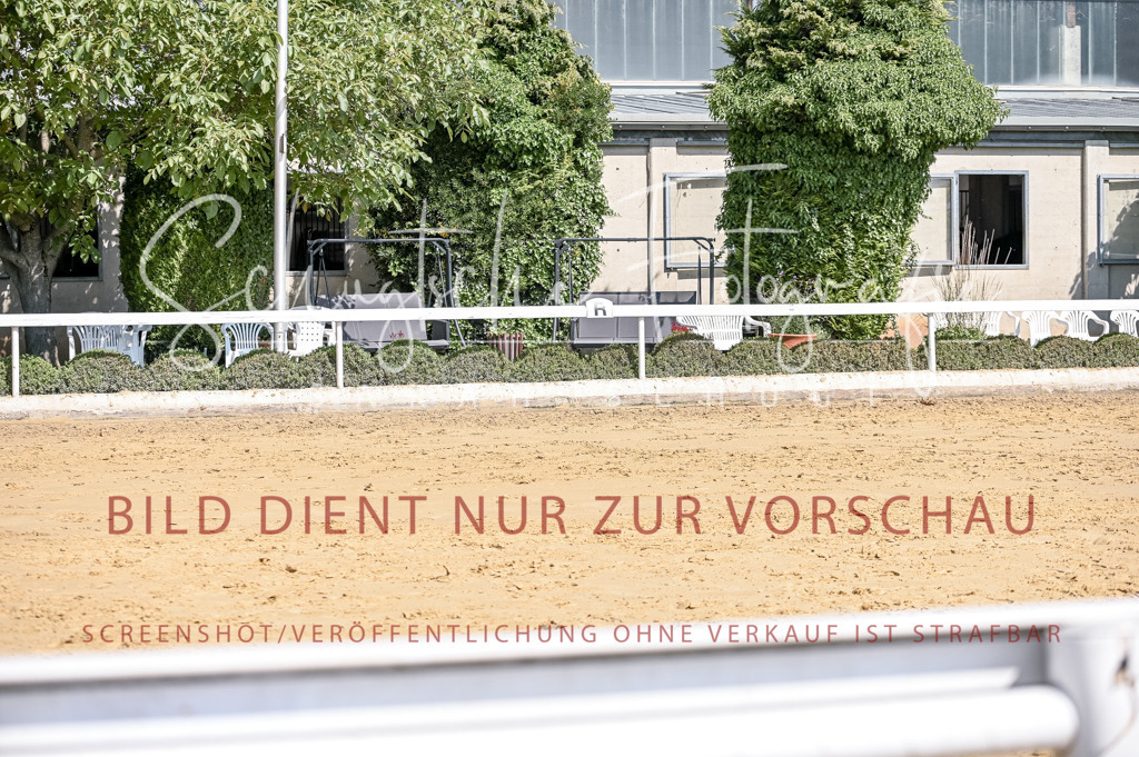 Schugtsche-Aluta25-52.Dressurprf.M2Kand-554 | Schugtsche Fotografie - Realisiert mit Pictrs.com
