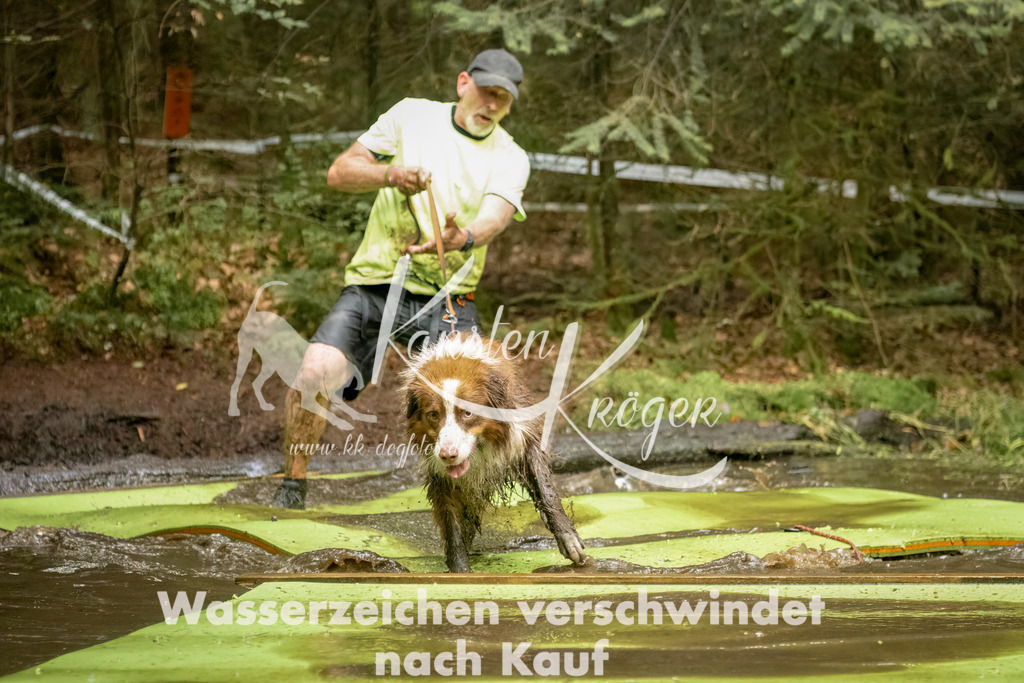 1230_ZZ94993-Bearbeitet | kk-dogfotos