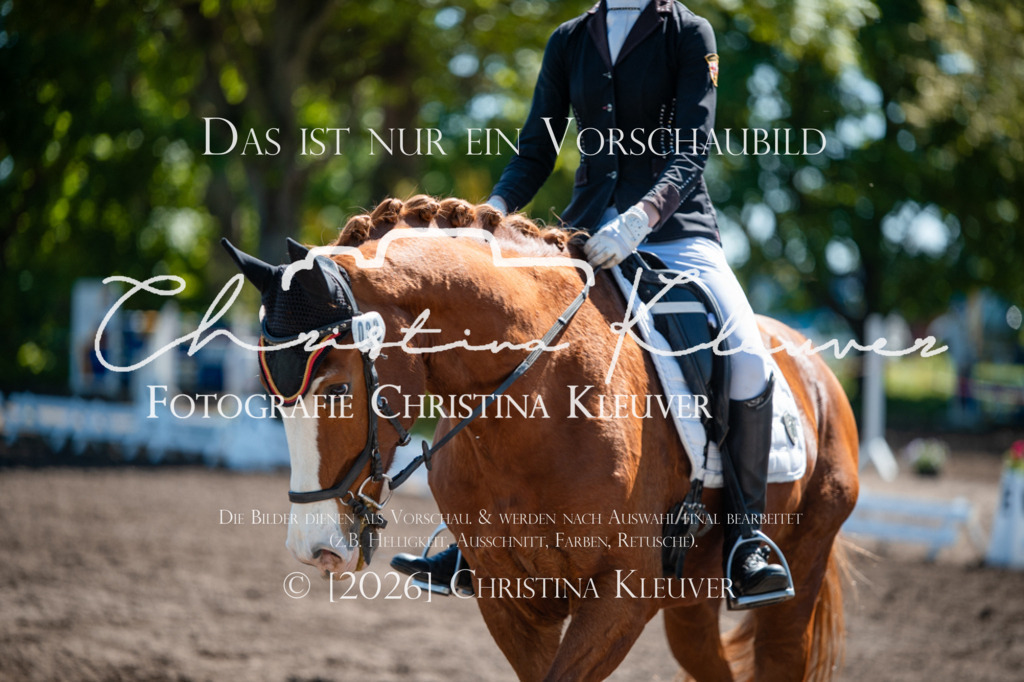 DSC_8331 | Christina-Kleuver