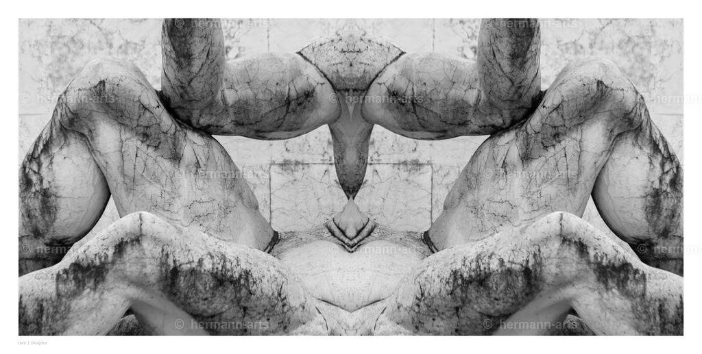 Hermann-Arts_Spiegelbilder_024 | Photo Foto Kunst Art schwarzweiss Bilder Rheine Münster Berlin Blumen 