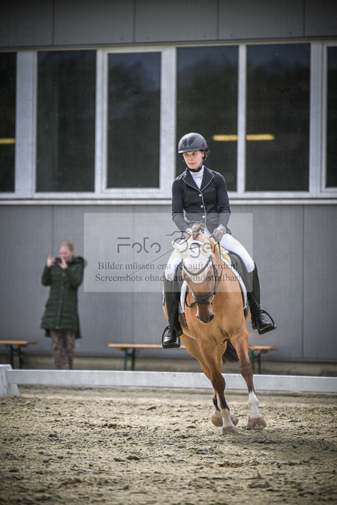 DOS_2037 | Entdecke hochwertige Reitturnierfotos von Foto Oger. Professionell, emotional und authentisch – jetzt Lieblingsmomente im Shop bestellen.Deutschlandweite Turnierfotografie. - Realisiert mit Pictrs.com