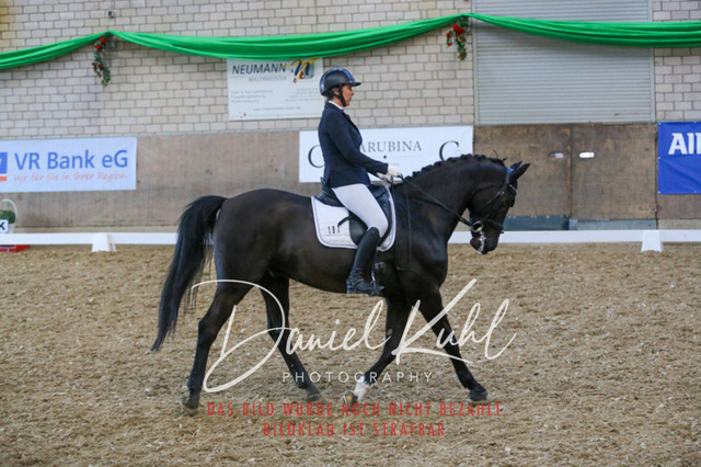IMG_2654 | Turnierfotos kaufen im Webshop von Daniel Kuhl Photography – entdecke professionelle Reitsportfotos aus Turnieren & Events. Hochwertige Turnierbilder online bestellen & sichern. Jetzt Fotos von Reitsportturnieren kaufen!