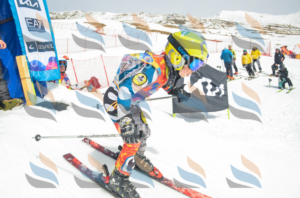 _ELE7791 | holidayphoto