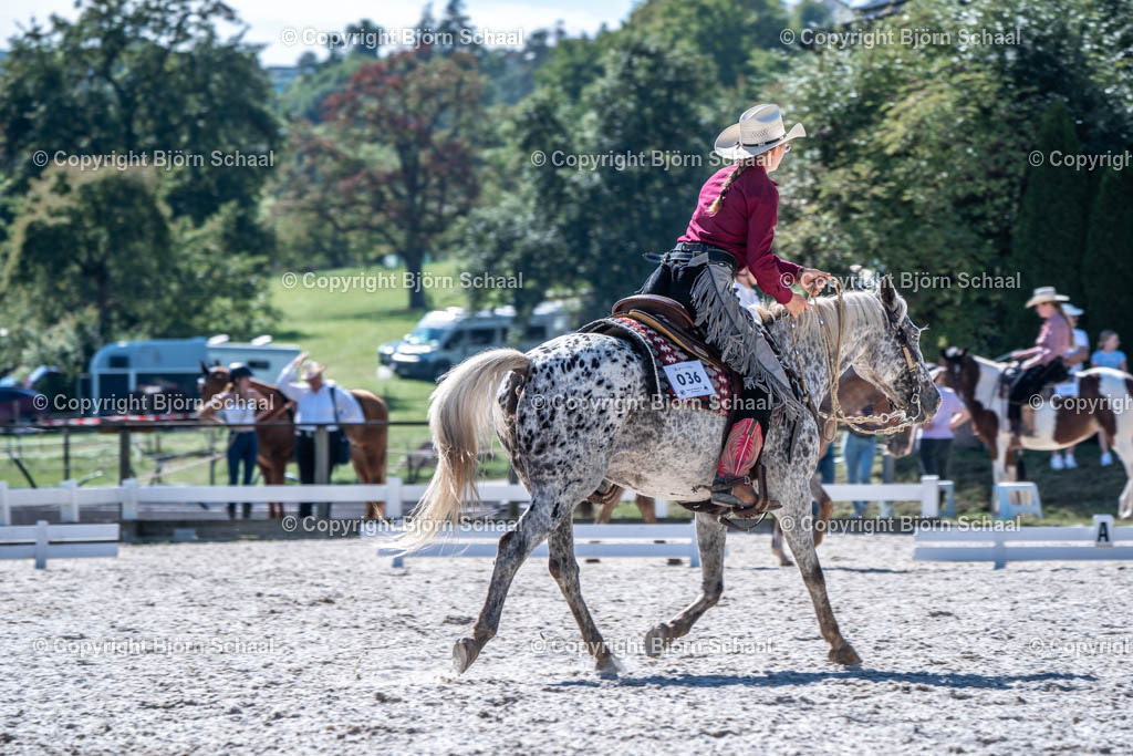 HOB09253 | BS-foto