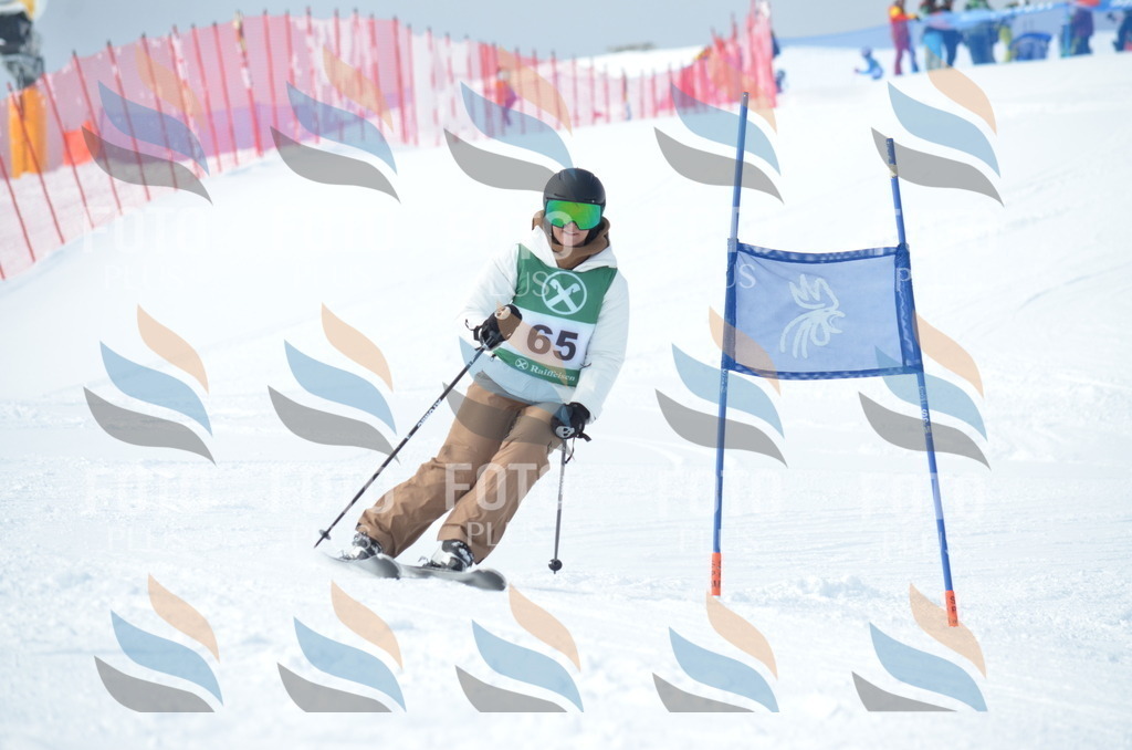 D8882 | holidayphoto