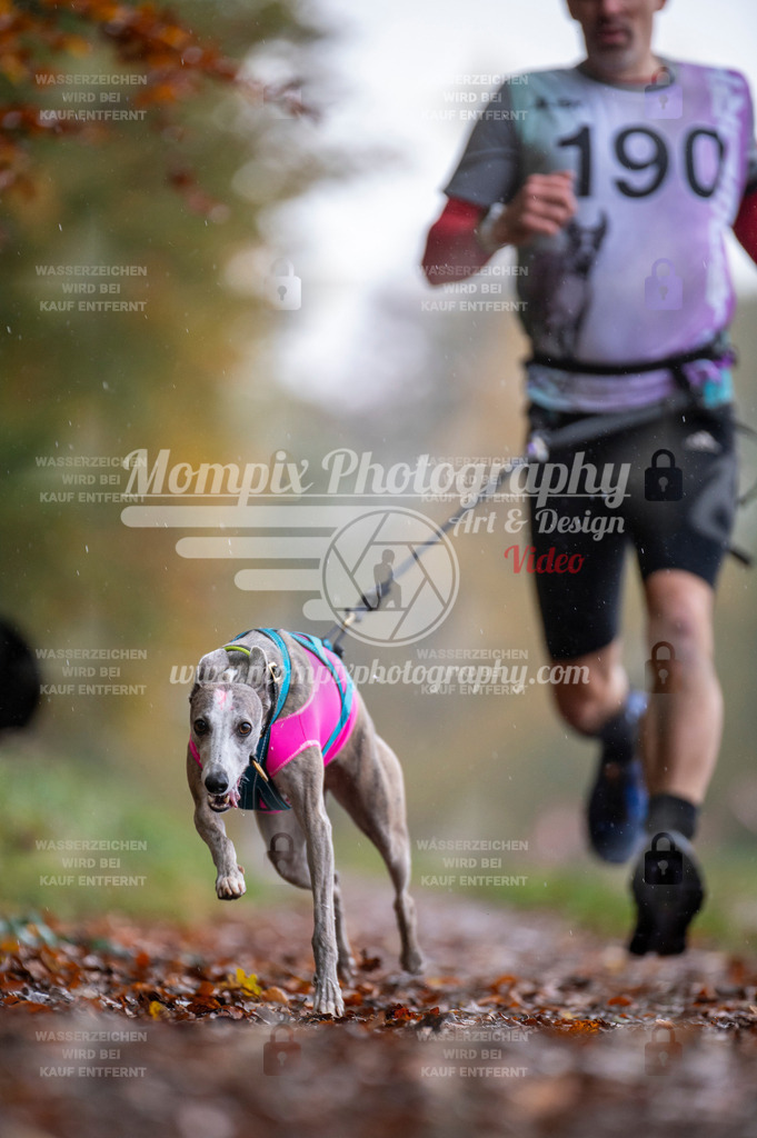 DBT_DAKM_SA_4_11_2023_Canicross-61 | PayLife