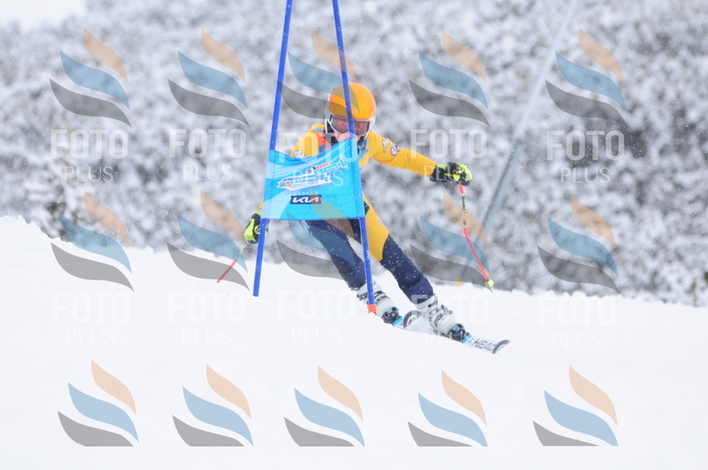 C4015 | holidayphoto