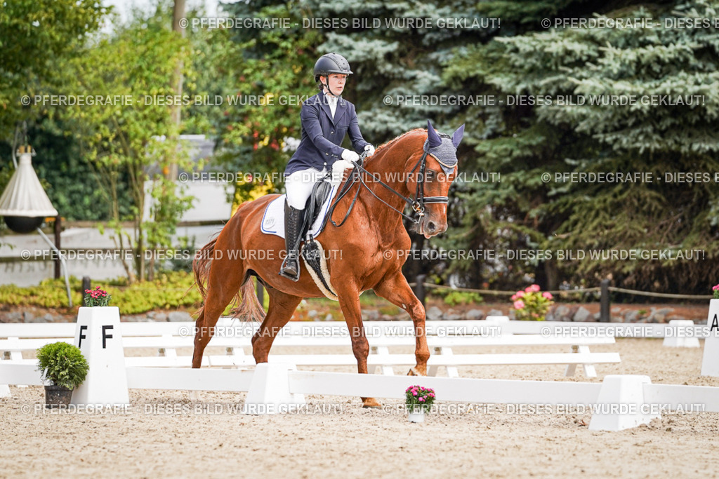 DSC03134 | Pferdegrafie