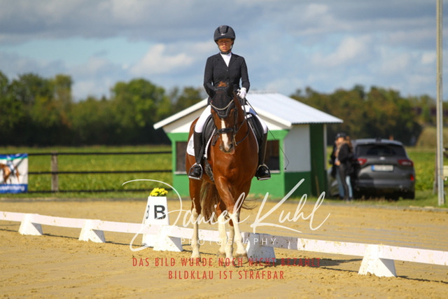 DKP44057 | Turniersportfotografie; Pferdefotografie; Dressurfotografie