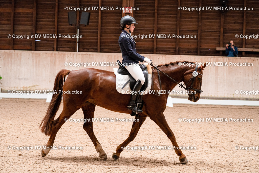 Dressur Tag 3-133 | dv-media-shop - Realisiert mit Pictrs.com