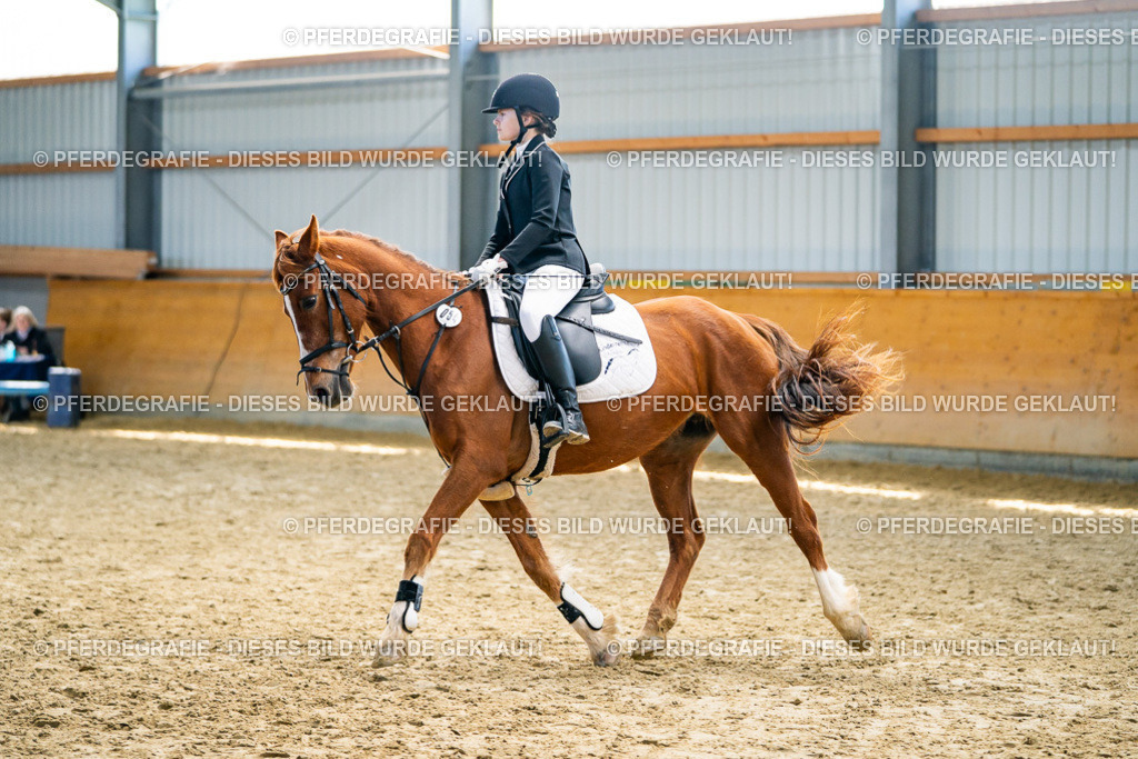 DSC02101 | Pferdegrafie