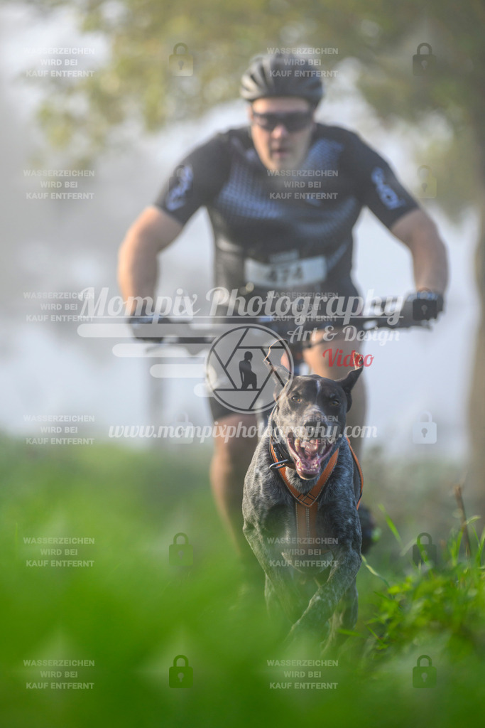MompixPhotography_20TSB_E3_Bike-107 | PayLife
