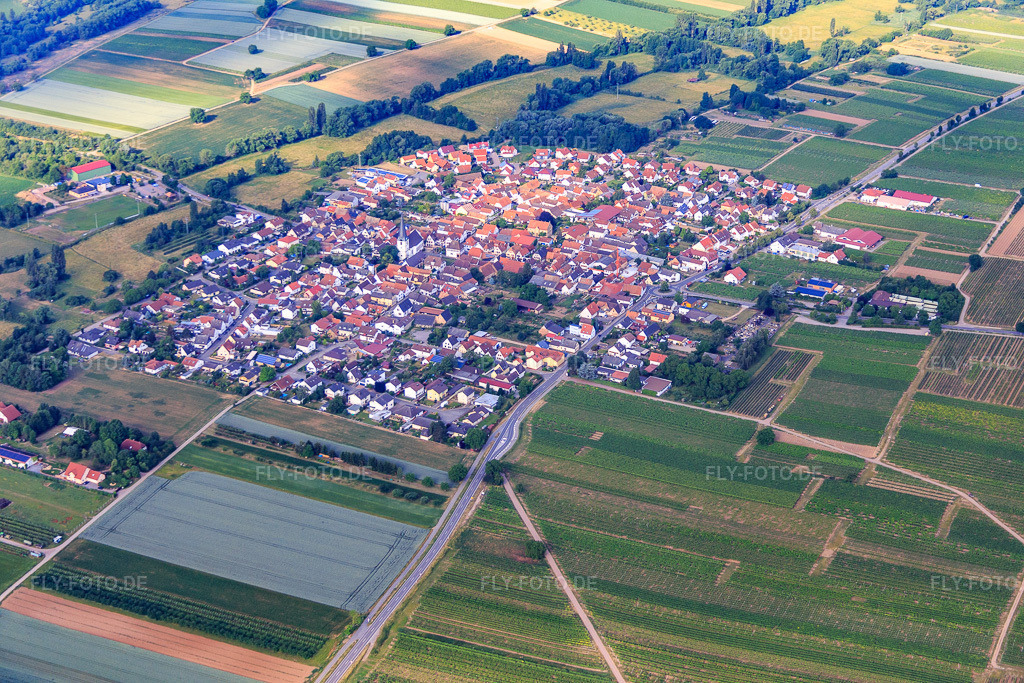 Luftbild: Dorfübersicht aus Nordosten in Venningen im Bundesland Rheinland-Pfalz in Deutschland. Foto: IMG_080941.jpg vom 14.06.2015 durch Werner Riehm/FLY-FOTO.de