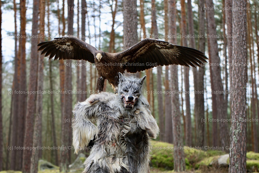 2X5A4328 | fotos-sportlich-belichtet - Realisiert mit Pictrs.com