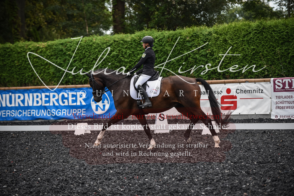 DSC_4552 | Pferde- und Turnierfotografie in Westsachsen. Pferdeportraits, Auftragszeichnungen und intuitive Kunst.