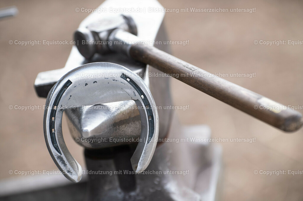 20210429_Spezialbeschlag_0007 | equistock