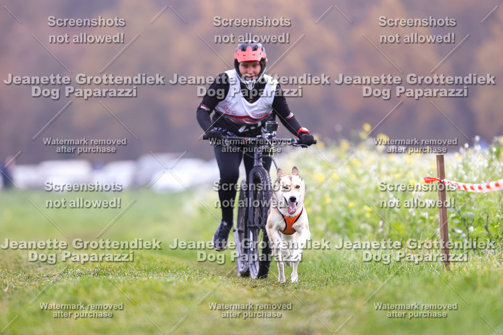 Dog Paparazzi - Visbeck 25 -291 | Dog Paparazzi Jeanette Grottendiek Fotografie & Videografie - Realisiert mit Pictrs.com