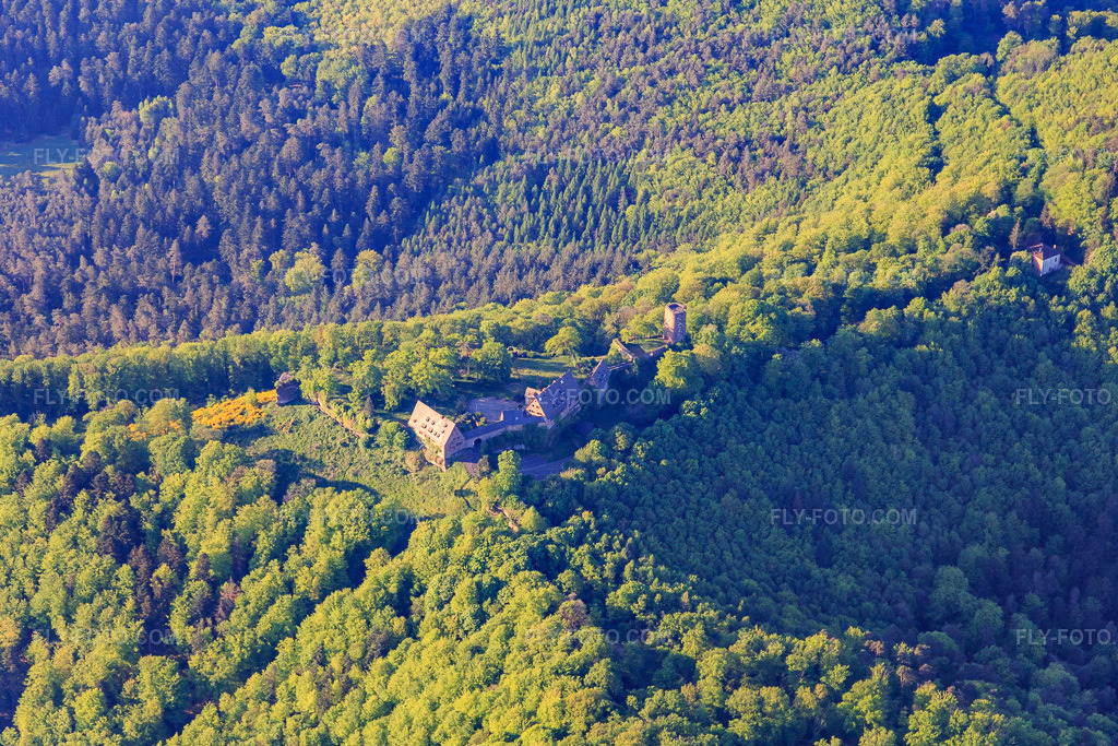 Aerial view: CHÂTEAU DU HUNEBOURG in Dossenheim-sur-Zinsel in the state Bas-Rhin, France. – Photo: IMG_145939.jpg taken on 05/01/2025 by Werner Riehm/FLY-FOTO.com – Resolution of the original: 5431 x 3621 px